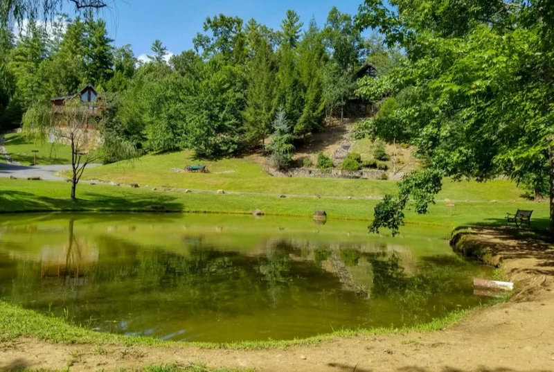 Timberstone
