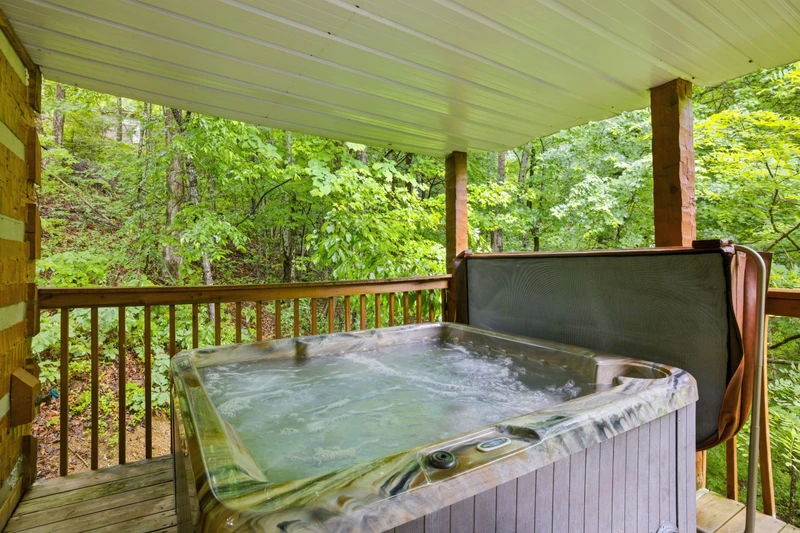 Black Bear Hideaway