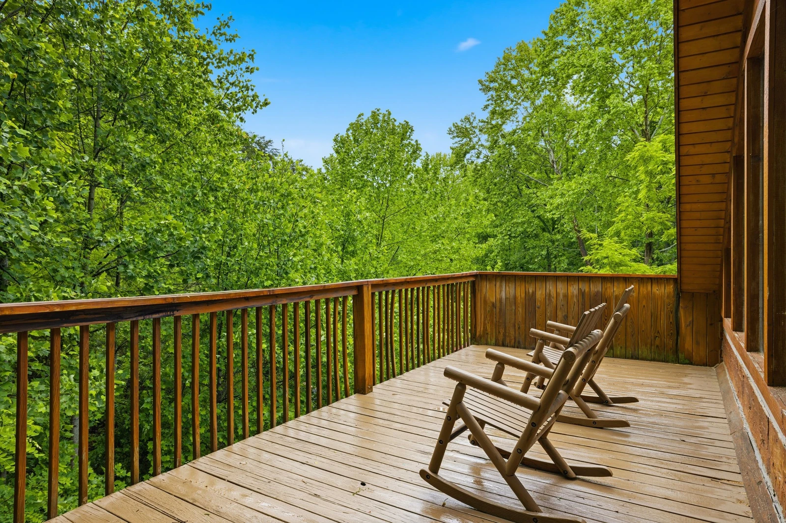 Black Bear Hideaway