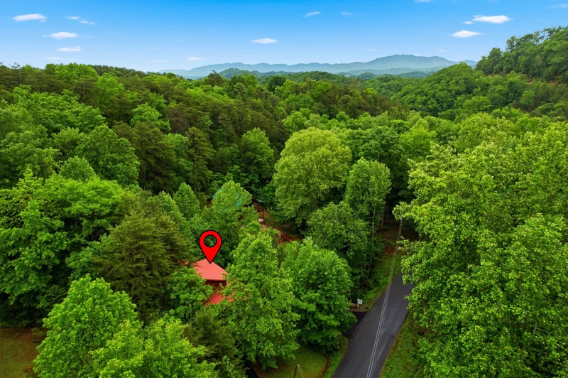 Black Bear Hideaway