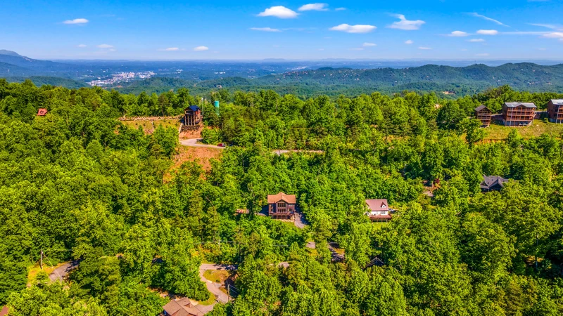 A Tree Top View