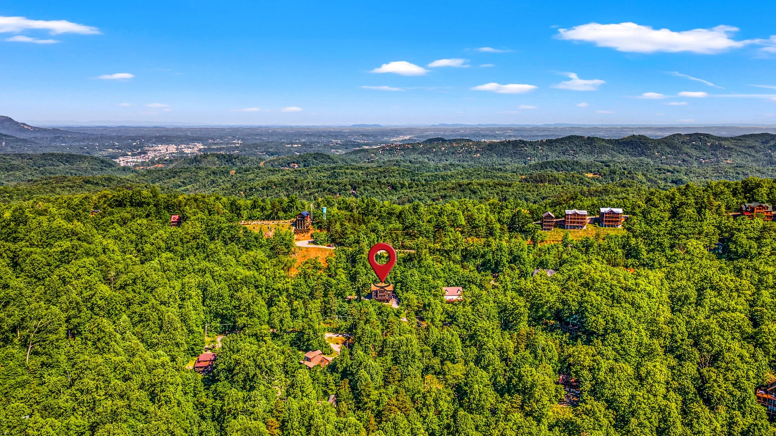 A Tree Top View