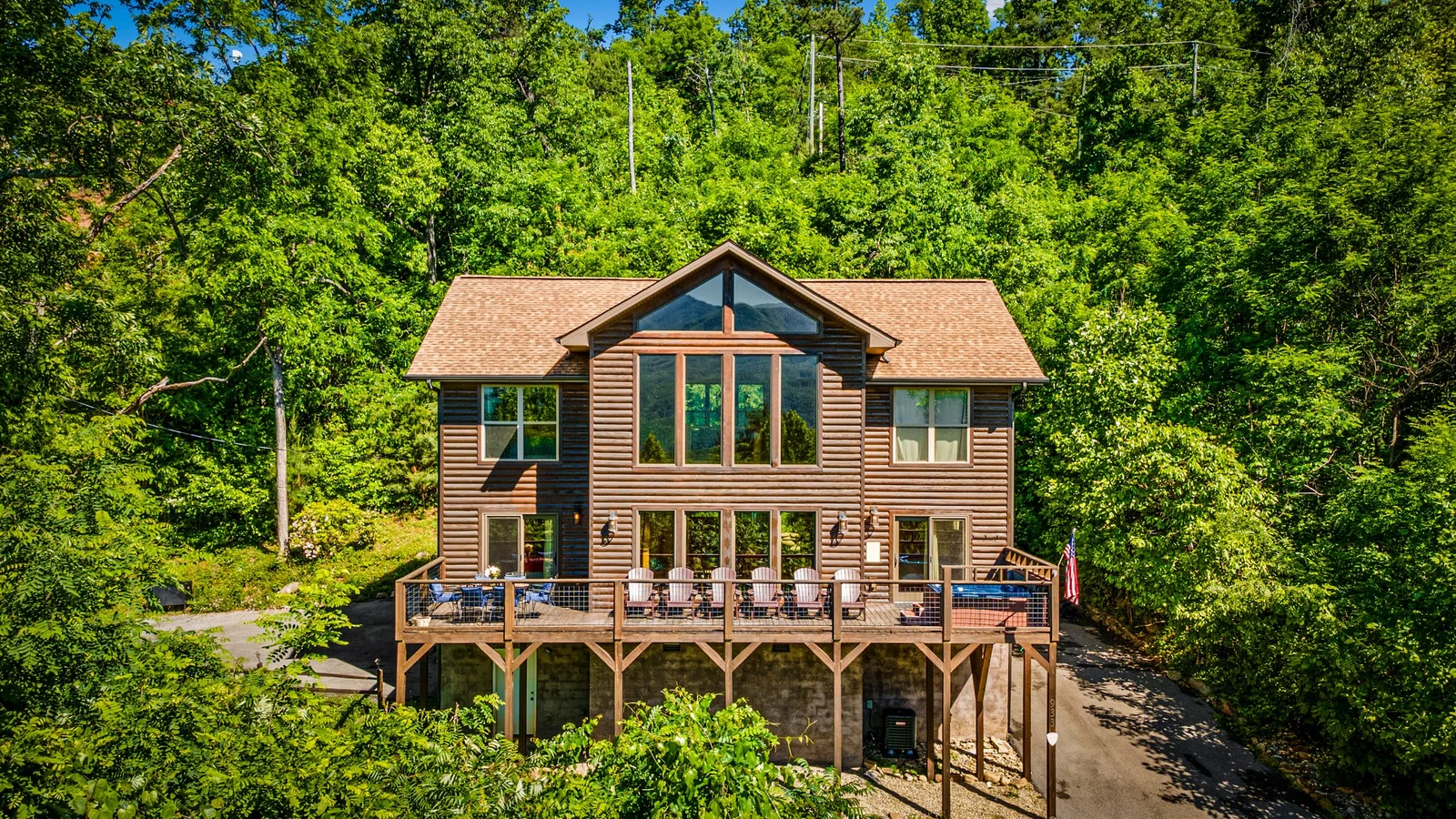 A Tree Top View