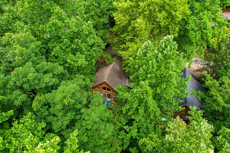 3 Bears Cabin