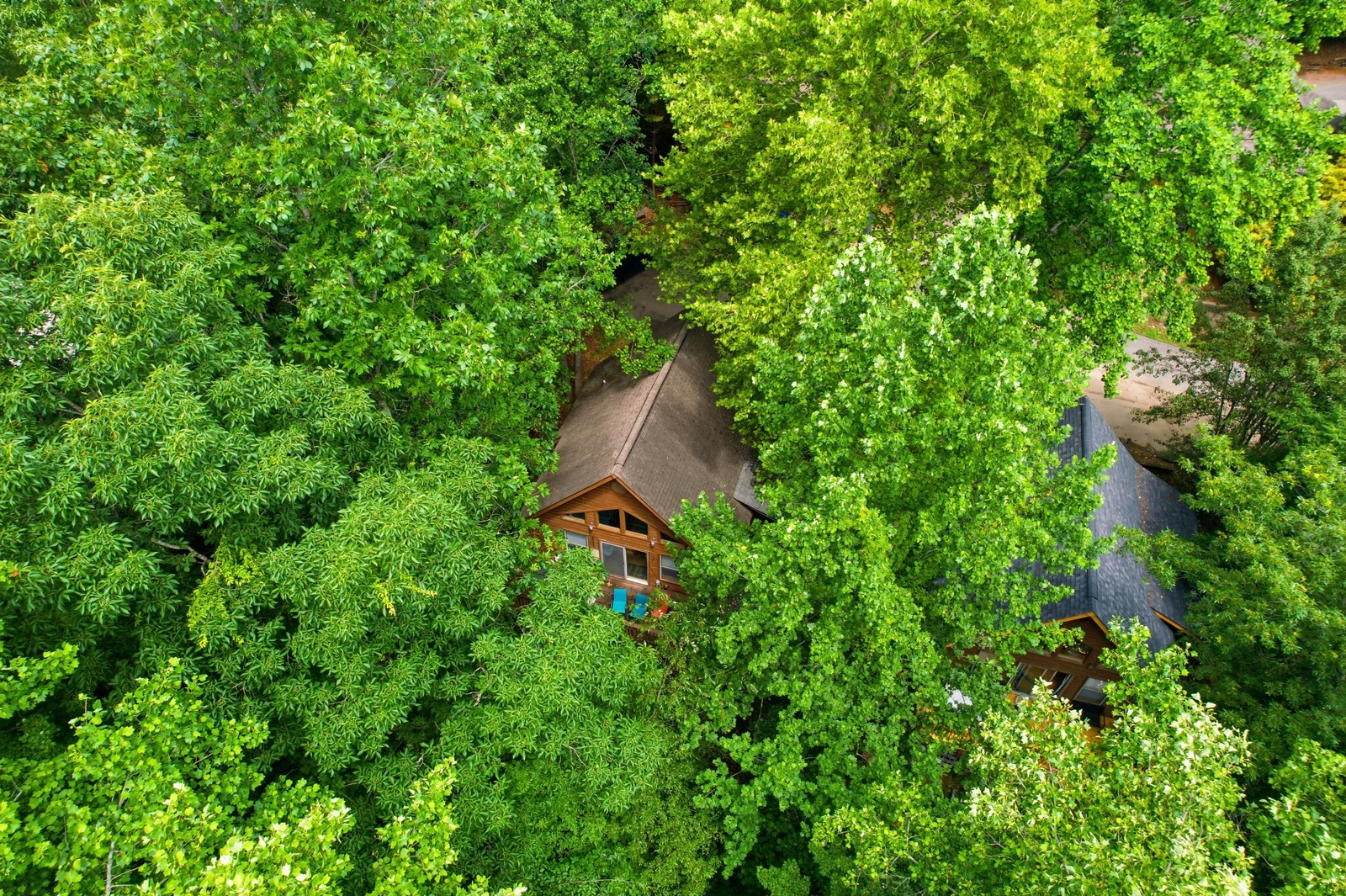 3 Bears Cabin