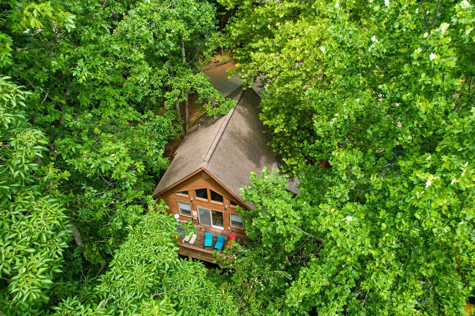 3 Bears Cabin