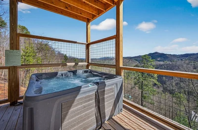 jerne to the top is one of our pet friendly Pigeon Forge cabins with hot tubs
