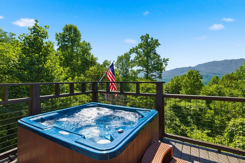 A Tree Top View