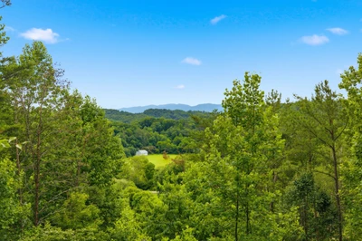 Cedar Ridge Cabin