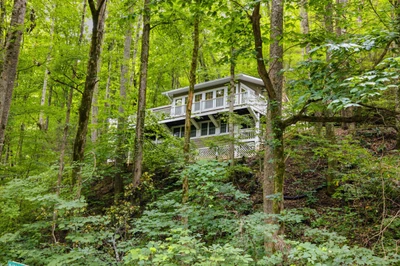 Spring Creek Cottage