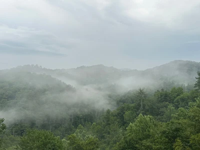 Tennessee Sunrise