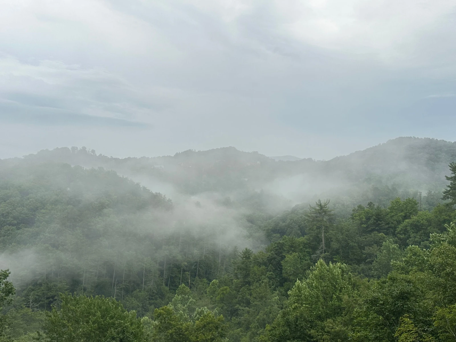 Tennessee Sunrise