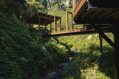 Kelly's Night Owl