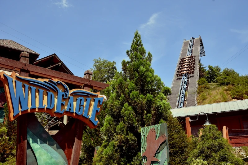 wild eagle at Dollywood
